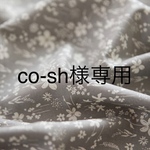 co-sh様専用ページ