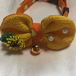 夏のシリーズ  ひまわり