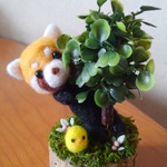 ＊kanon  様　オーダー商品 木陰のレッサーパンダくん＊