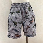 ハーフパンツ☆恐竜 110cm
