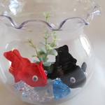 ちりめん 金魚(2)
