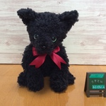m様オーダー品(黒猫子猫 )ふわふわ縫いぐるみ