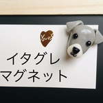 マグネット（イタグレ）