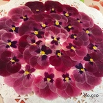 ♡new♡作家様必見♡ ♡少し大きめビオラ♡ 赤花処理済み♡押し花セット