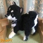 オーダーメイド　リオくん（黒柴小犬）♪　あみぐるみ