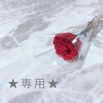 ★専用ページ★ タティングレース