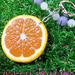 オレンジの輪切りキーホルダー♪