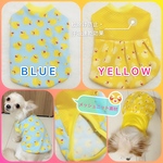 再入荷💛アヒルちゃん𓅸𓅿𓅹ドッグウェア🧡