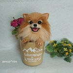 羊毛フェルト 犬 ポットINポメラニアン