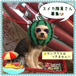 受注製作【スイカ隊員(*´︶`*)♡】（送料無料）