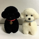 boo様専用　my Dogチャーム（裏側肉球マーク）付き。毛糸のぽんぽん、おすわりトイプードル（純毛 黒＆白セット）