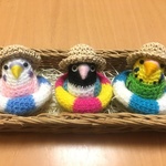 《再販》インコちゃん用♡麦わら帽子