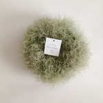 【sale】スモークツリーのリース*a