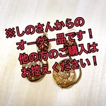インティなピアス☀️（オーダー品）