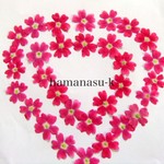 押花素材83　ピンクのバーベナ　30枚