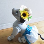 aibo-pompom様専用
