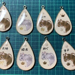 【毎月下旬発送予定】うちの子チャーム　価格改定🙇‍♀️モルモットもオーダー受付可能です。