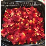 小さなミニ薔薇の花びら2g（小さめ）ドライフラワー★花弁ミニローズ★押し花素材