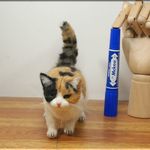 羊毛フェルト　猫　小太りな三毛猫さん　ねこ　ネコ　猫フィギュア