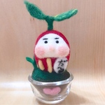 だるまる草