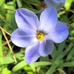 【powerstoneLOVE様専用ページ】