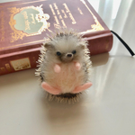 【訳あり】円脱気味のちびっこハリネズミ
