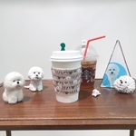 ビションフリーゼ  カップスリーブ 