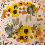 ♡new♡ 送料無料！¥1720 ♡たっぷり押し花セット♡