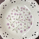 かすみ草ピンク(押し花)
