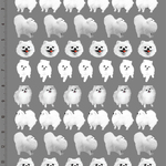 DOG.PO-01.可愛いポメラニアン