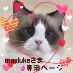 maxlukeさま 専用ページです！