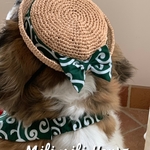 人気☆大型犬 むぎわら帽子
