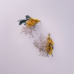 ドライフラワー🌼耳飾り🌼イヤリング/ピアスかすみ草くすみカラー