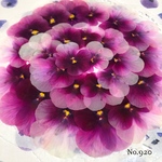 ♡new♡作家様必見♡ ♡赤花処理済み♡ ♡人気のビオラ♡押し花セット