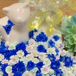 かすみ草ドライフラワー