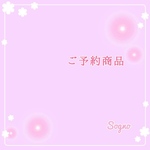 panda4810様＊御予約品