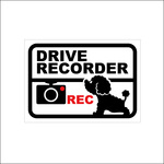 ドライブレコーダー　ステッカー（プードル）