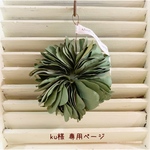＊ku様 専用ページ＊