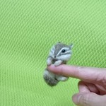 しがみつきっ!シマリス  羊毛フェルト