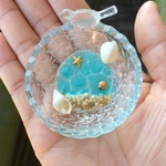 ☆海シリーズ☆暗闇でふんわり光る小さな海辺の小物置き