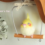ふくふく　おねむなオカメインコ（ルチノー）