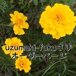 uzumaki-fukuさま専用