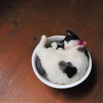 【ご予約品】和カップ猫　ごま♥　Φ10.5cm