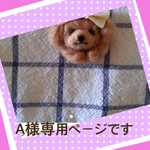 A様専用ページです。