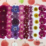 ♡new♡作家様必見♡ ♡お買い得な押し花セット♡