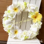 【再販】夏色♡可愛いプルメリアのナチュラルリース♡夏リース*・゜゜・*:.。..。.:*