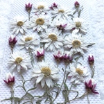 特価 花かんざし 押し花