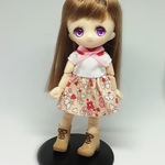 オビツ11　ドレスB8