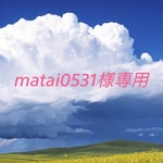 ～matai0531様専用～