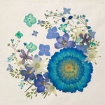 押し花素材 vol.16